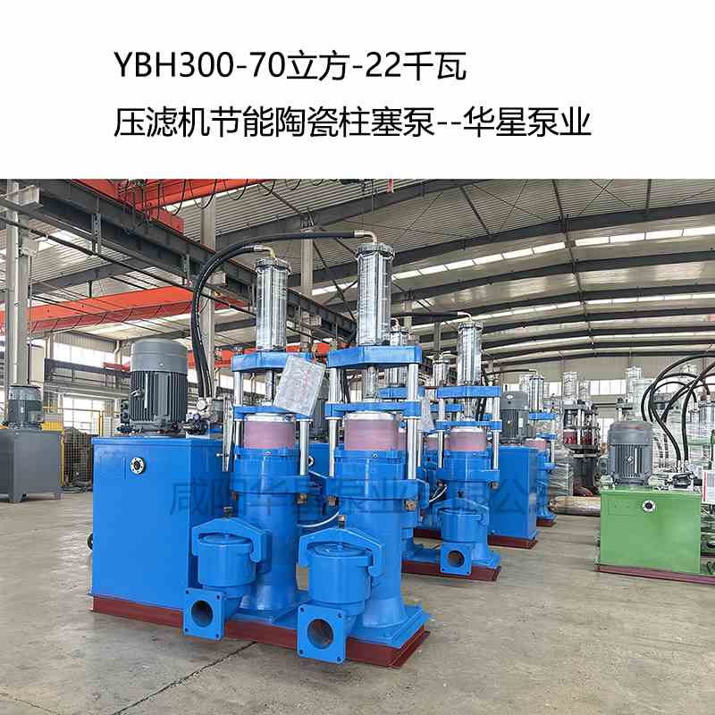 華星泵業(yè)經(jīng)典藍色立式柱塞泵發(fā)布